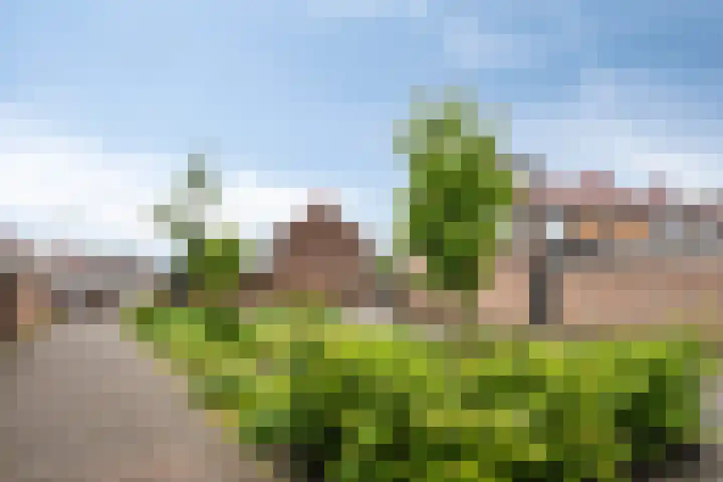 Jan Evertsenstraat 35 Tilburg thumbnail 34