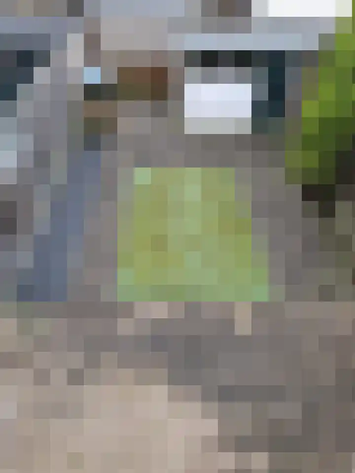Jan Evertsenstraat 4 Spijkenisse thumbnail 11