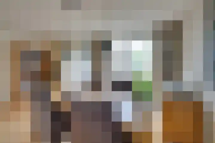 Jan Evertsenstraat 4 Spijkenisse thumbnail 17