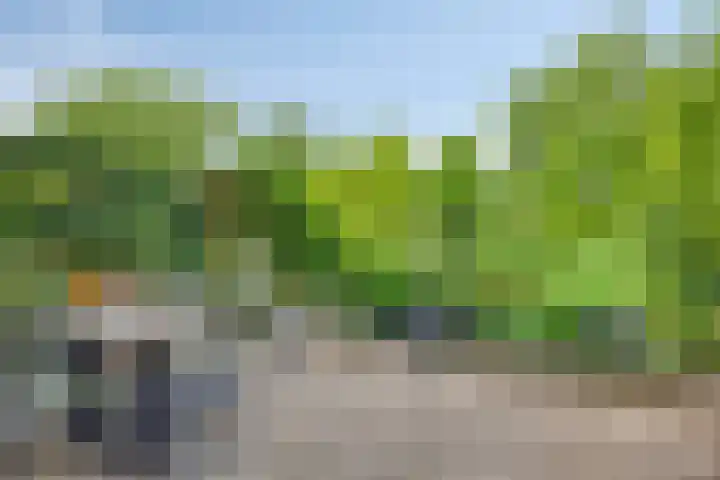 Jan Evertsenstraat 4 Spijkenisse thumbnail 22