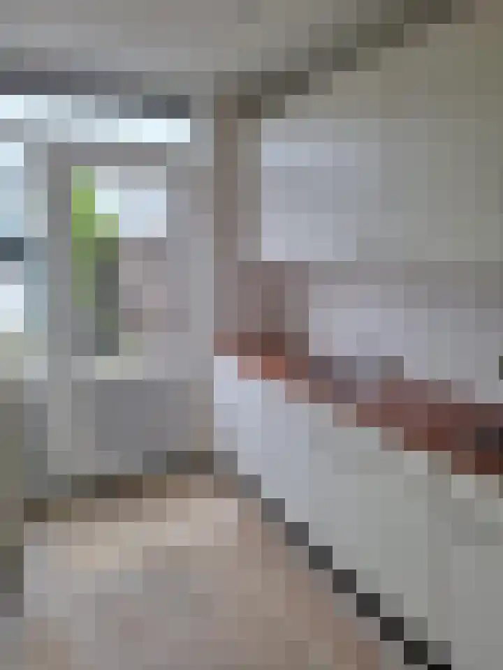 Jan Evertsenstraat 4 Spijkenisse thumbnail 4