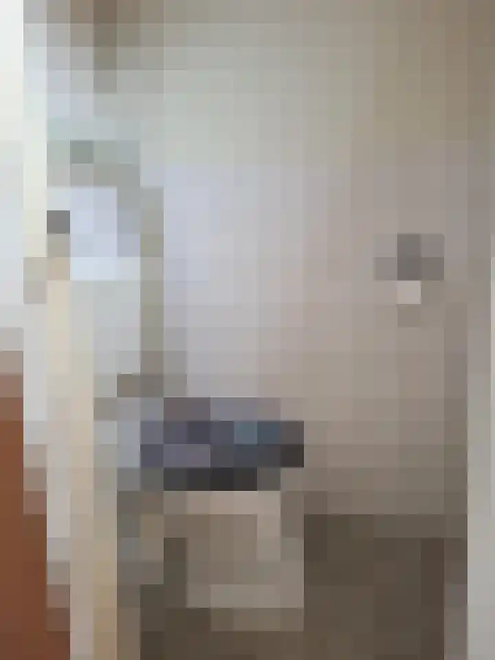 Jan Evertsenstraat 4 Spijkenisse thumbnail 5