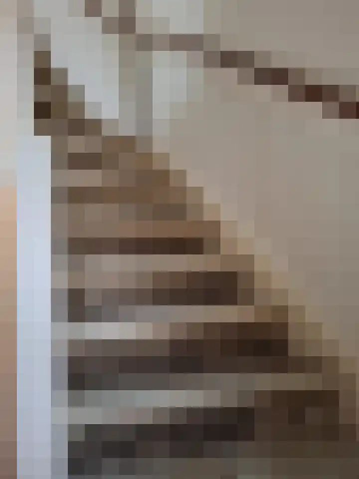 Jan Evertsenstraat 4 Spijkenisse thumbnail 6