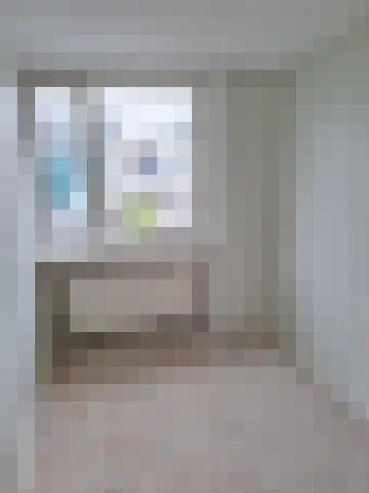 Jan Evertsenstraat 4 Spijkenisse thumbnail 9