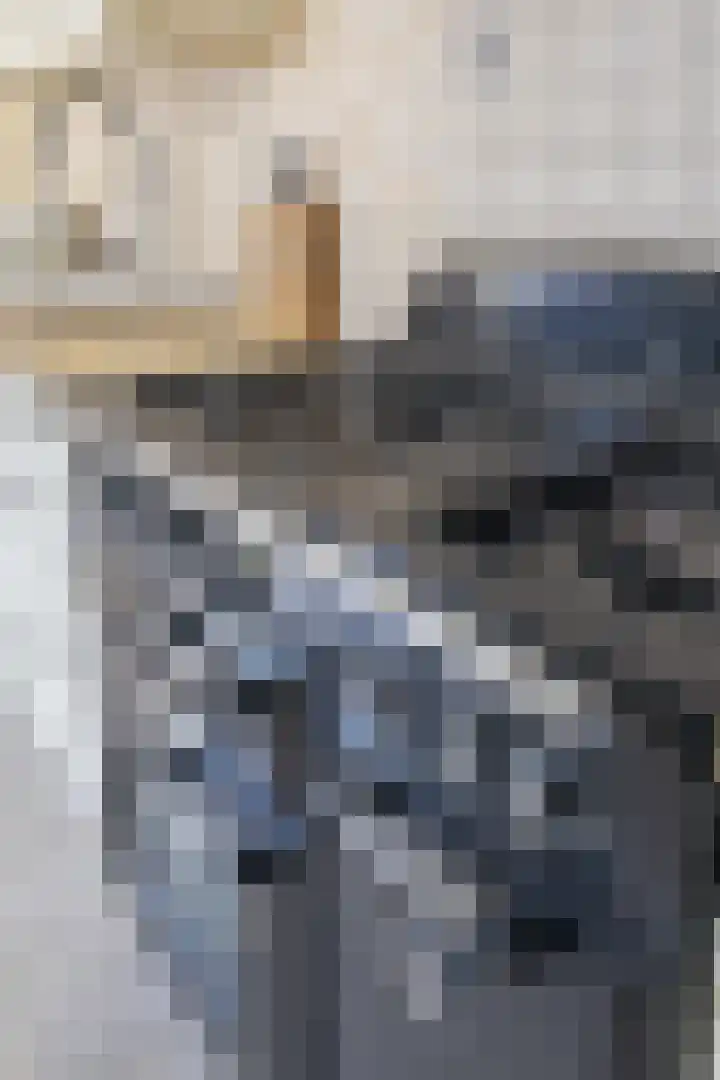 Jan Evertsenstraat 41 Tilburg thumbnail 16