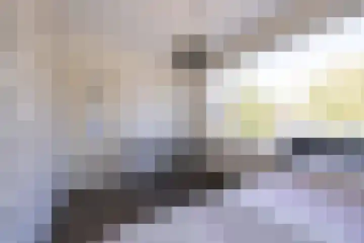 Jan Evertsenstraat 41 Tilburg thumbnail 20