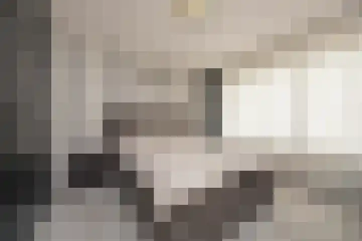 Jan Evertsenstraat 41 Tilburg thumbnail 21