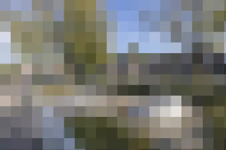 Jan Evertsenstraat 41 Tilburg thumbnail 38