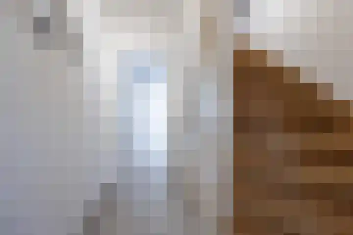 Jan Evertsenstraat 41 Tilburg thumbnail 6