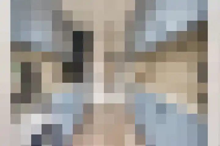 Jan Evertsenstraat 5 De Lier thumbnail 4