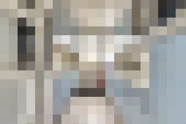 Jan Evertsenstraat 5 De Lier thumbnail 9