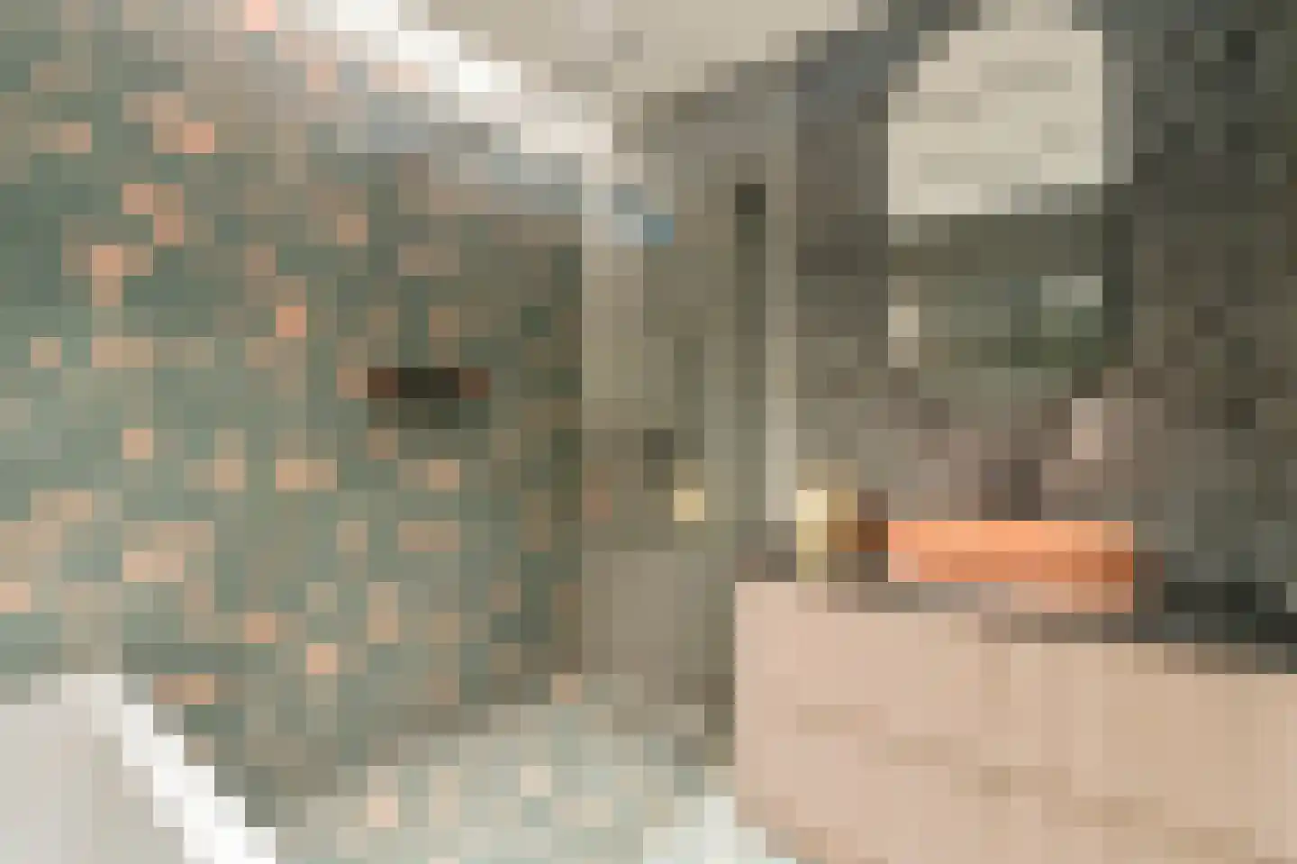 Jan Evertsenstraat 551 Amsterdam thumbnail 27