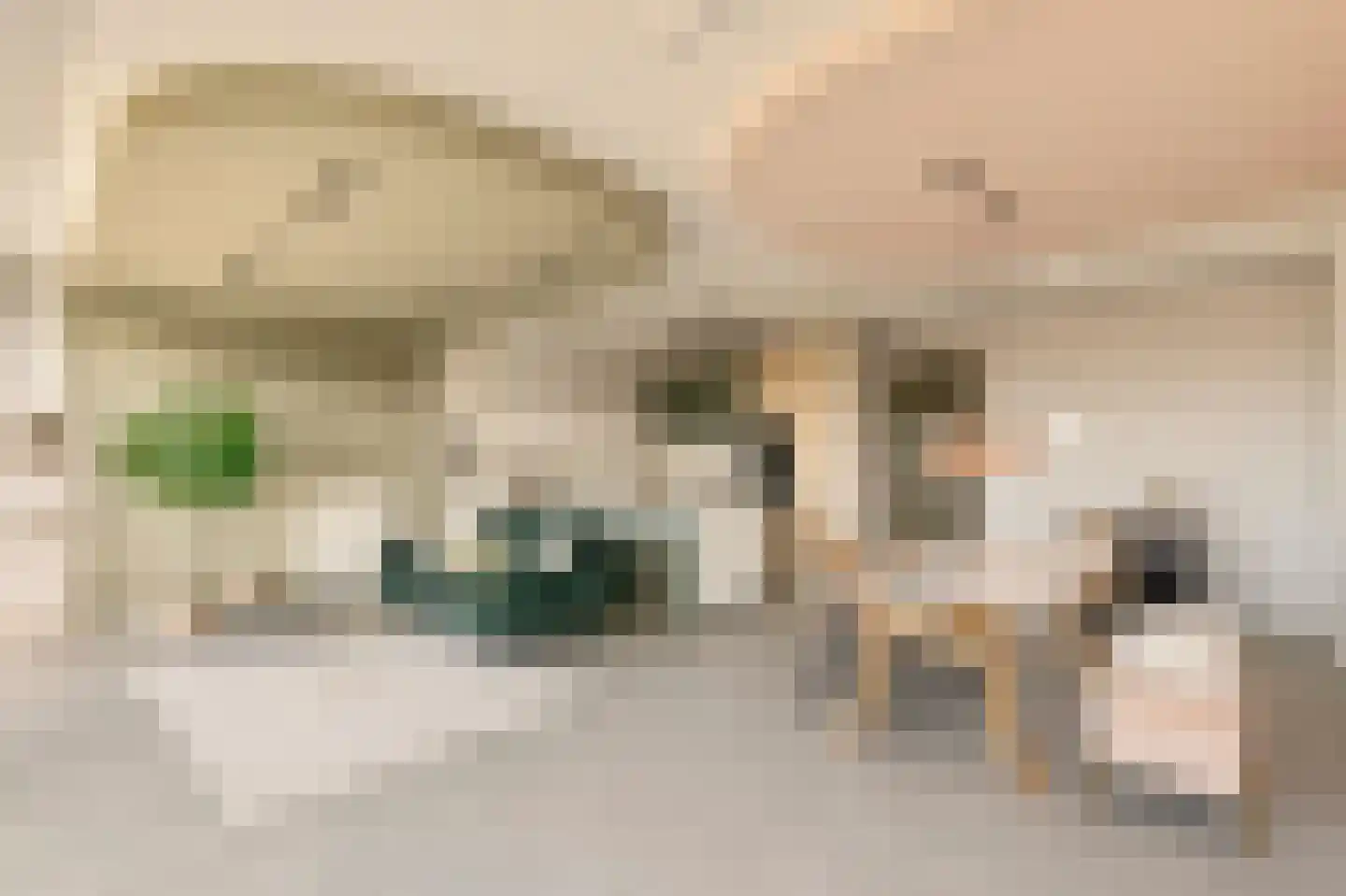 Jan Evertsenstraat 551 Amsterdam thumbnail 7