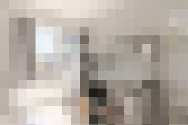 Jan Evertsenstraat 6 Haarlem thumbnail 20