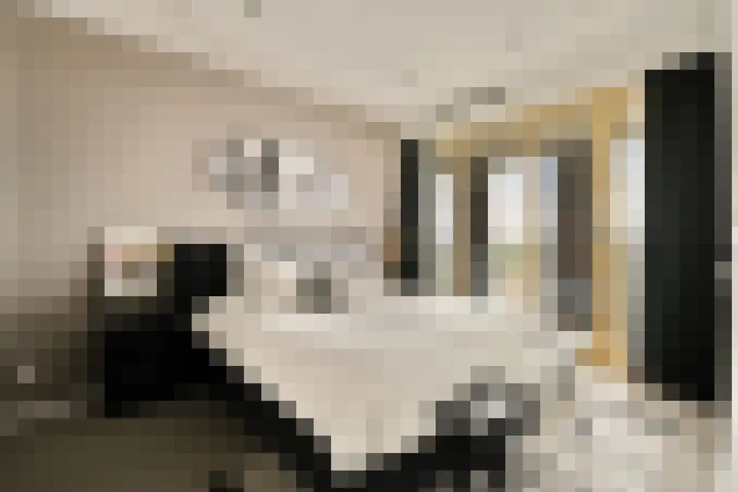 Jan Evertsenstraat 683 Amsterdam thumbnail 9