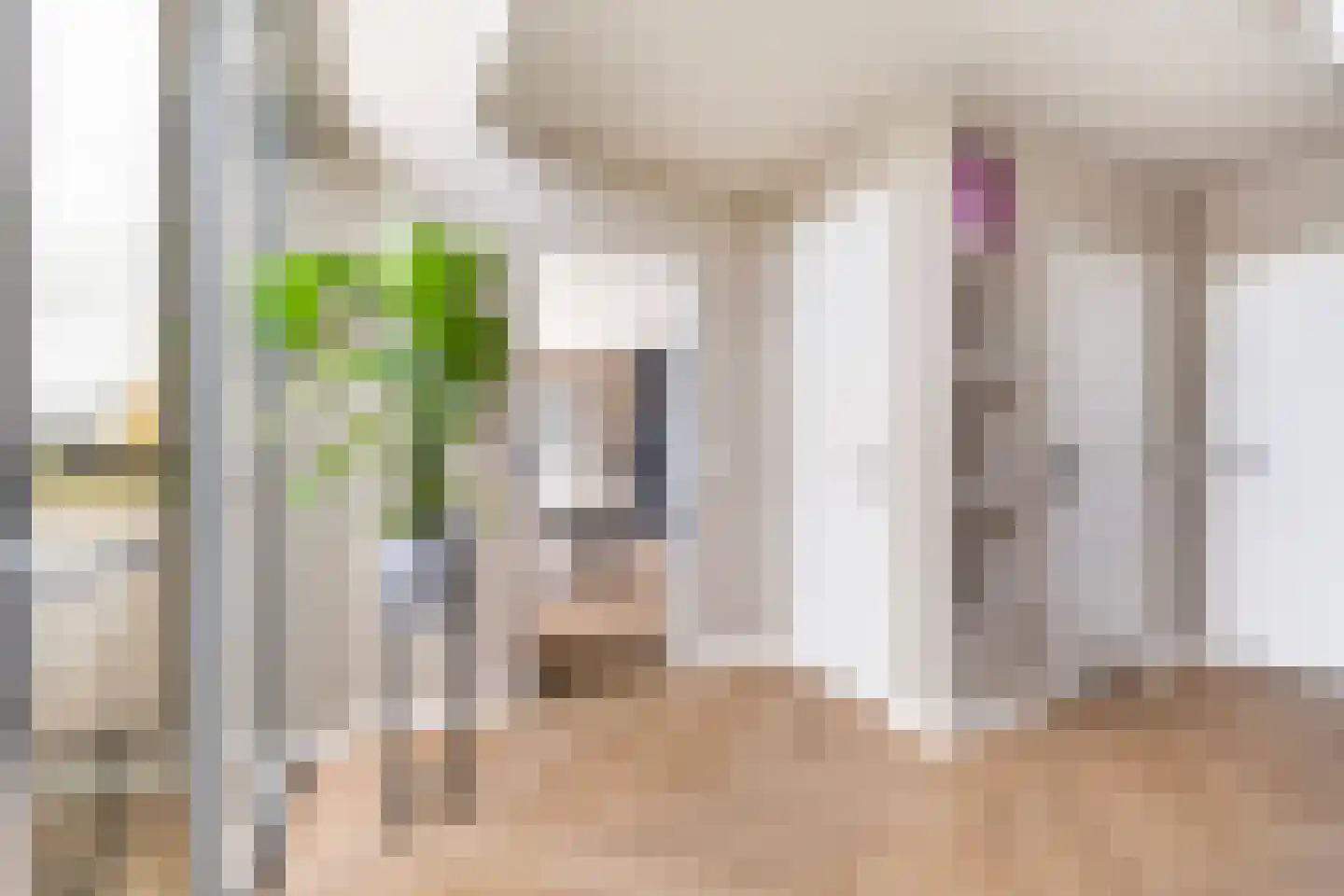 Jan Flamelingstrjitte 12 Menaam thumbnail 14
