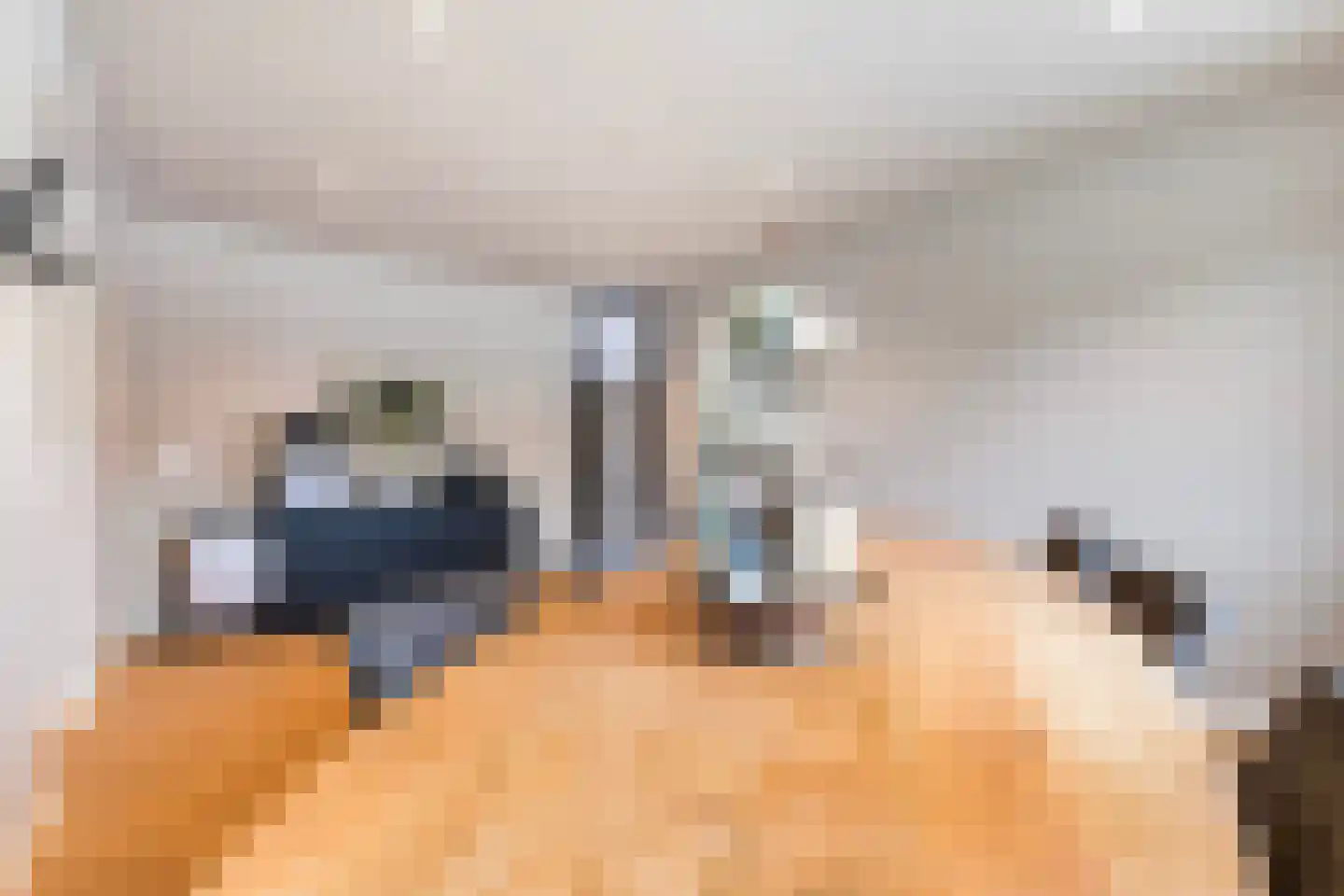 Jan Flamelingstrjitte 12 Menaam thumbnail 25