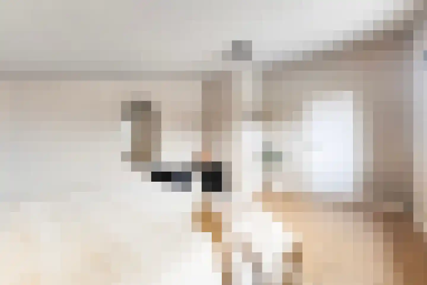 Jan Flamelingstrjitte 12 Menaam thumbnail 33