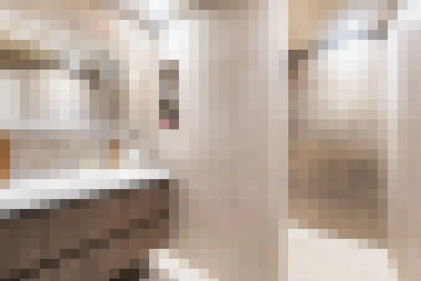 Jan Flamelingstrjitte 12 Menaam thumbnail 41