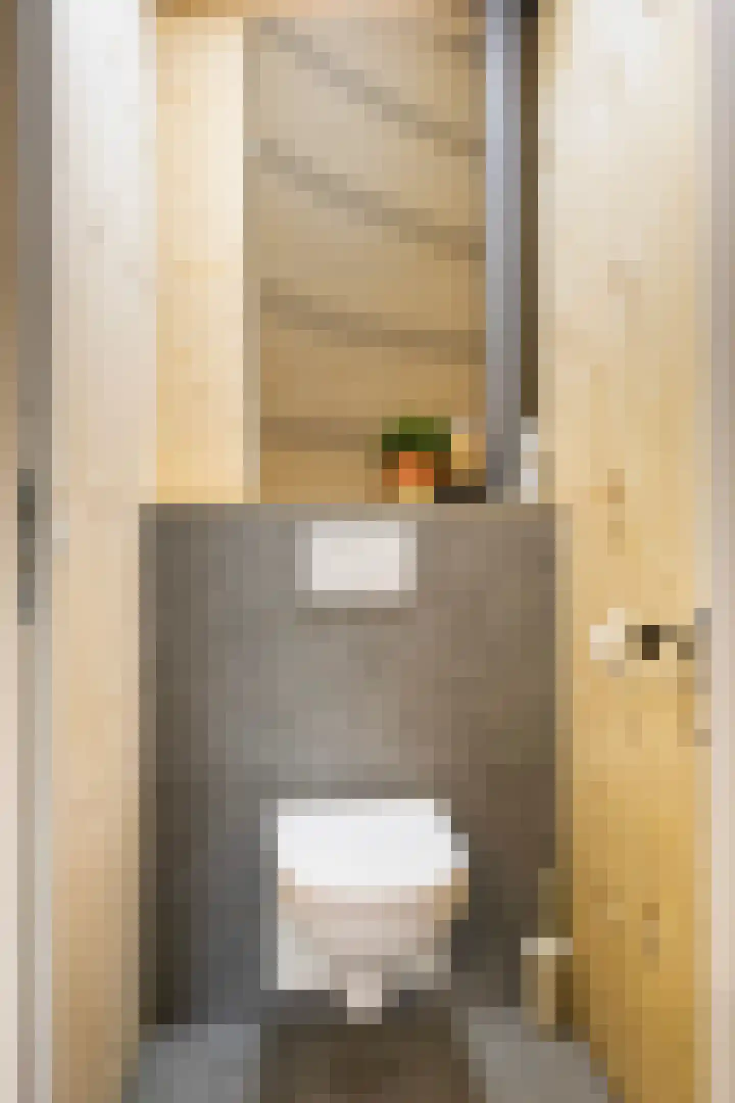 Jan Flamelingstrjitte 12 Menaam thumbnail 44