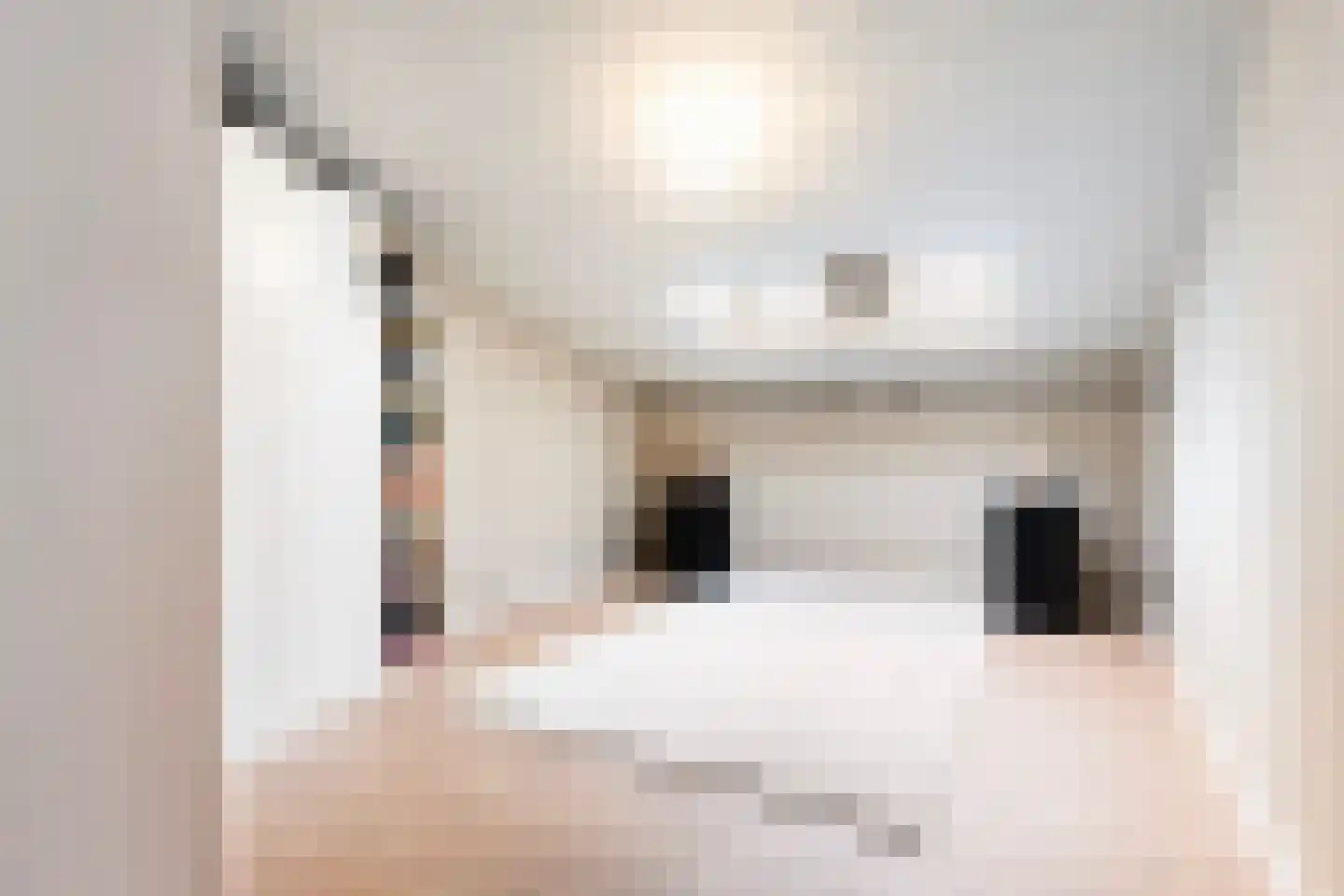 Jan Flamelingstrjitte 12 Menaam thumbnail 45