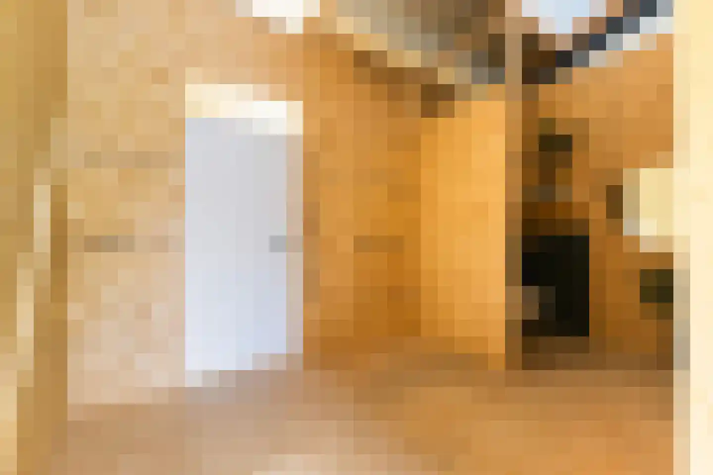 Jan Flamelingstrjitte 12 Menaam thumbnail 49