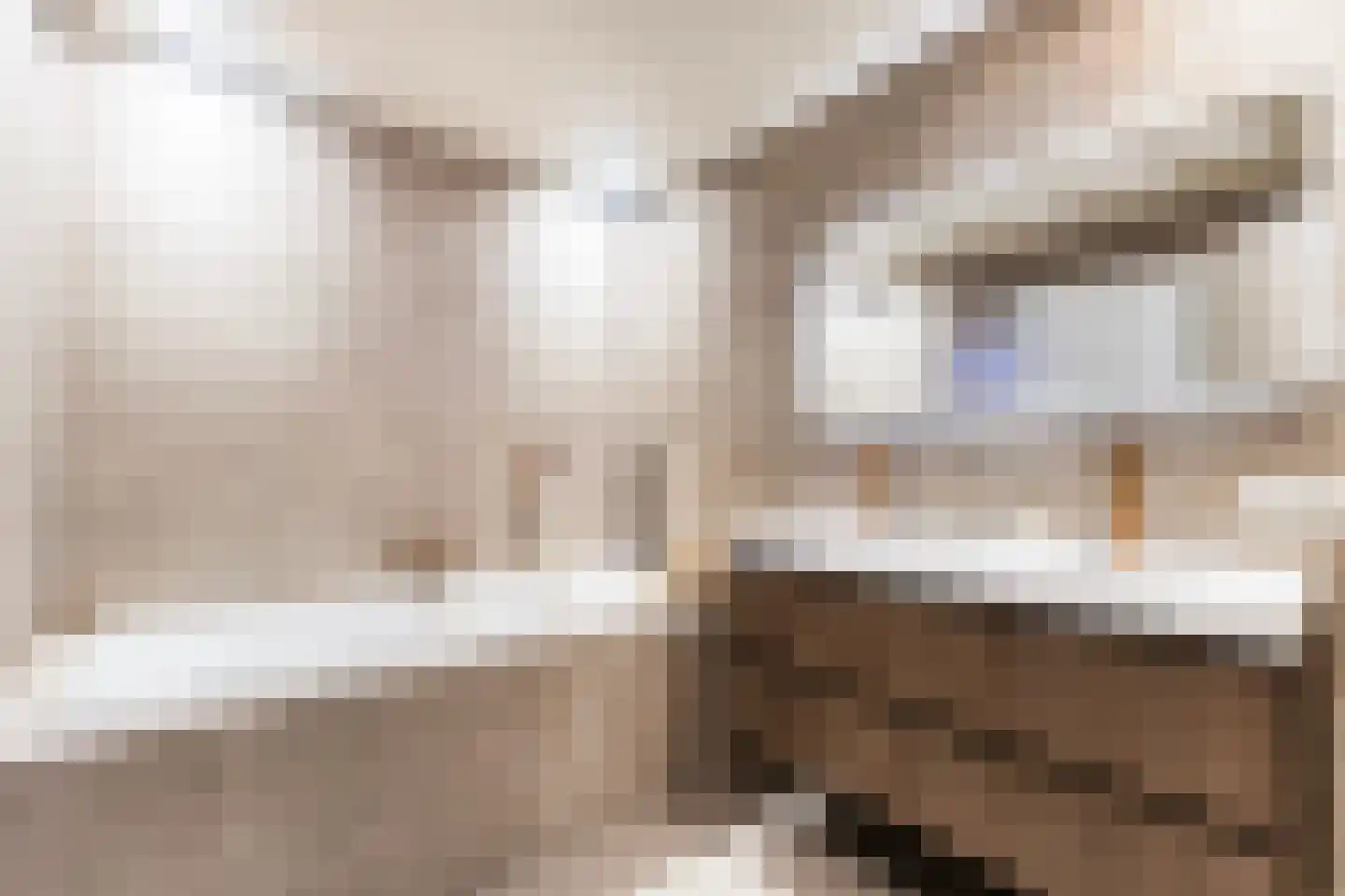 Jan Flamelingstrjitte 12 Menaam thumbnail 5