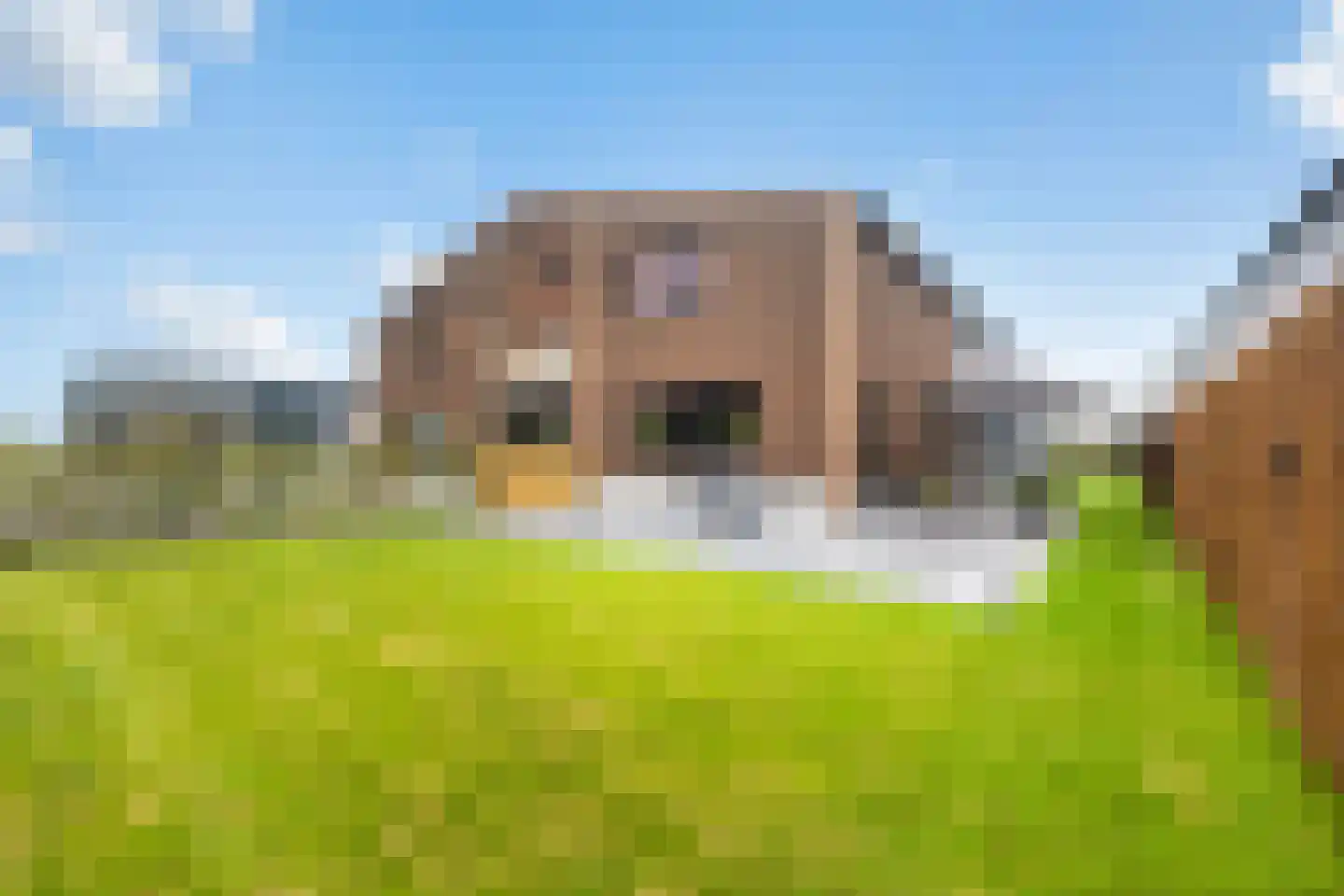 Jan Flamelingstrjitte 12 Menaam thumbnail 53