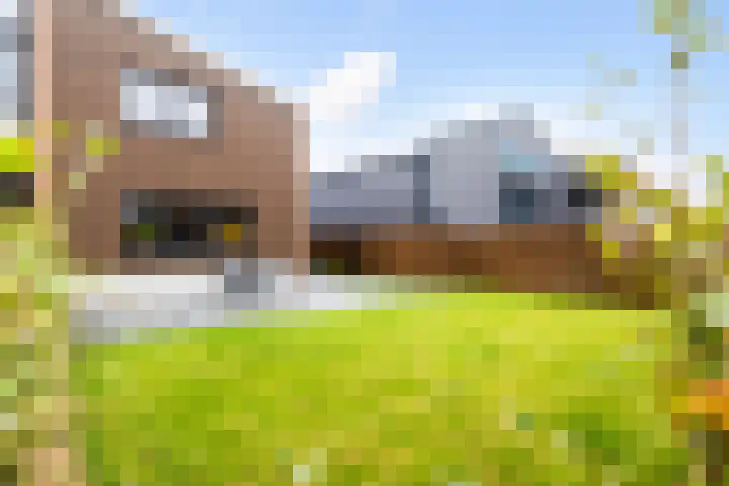 Jan Flamelingstrjitte 12 Menaam thumbnail 54