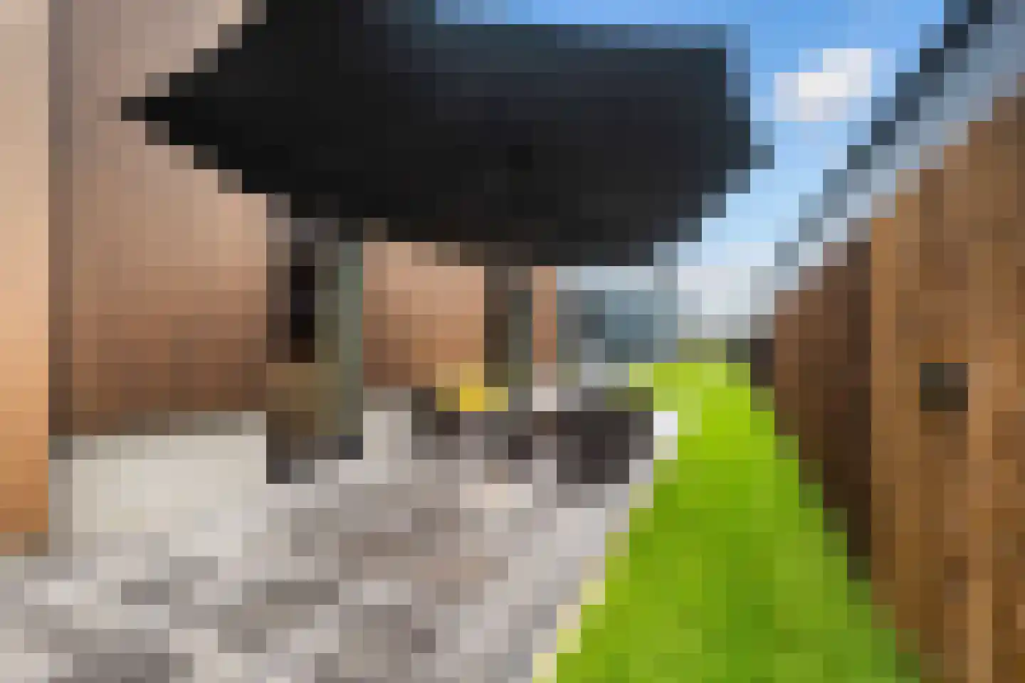 Jan Flamelingstrjitte 12 Menaam thumbnail 55