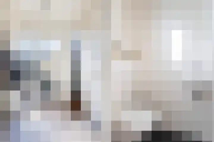 Jan Flintermanloane 4 Feanwâlden thumbnail 11