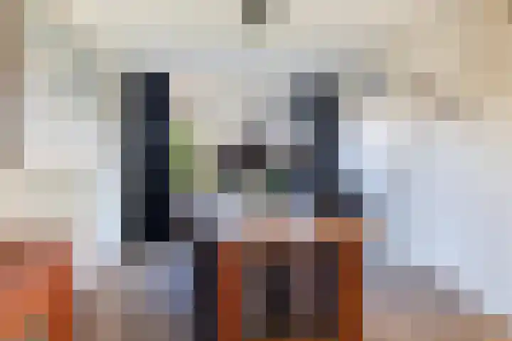 Jan Flintermanloane 4 Feanwâlden thumbnail 14