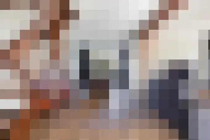 Jan Flintermanloane 4 Feanwâlden thumbnail 17