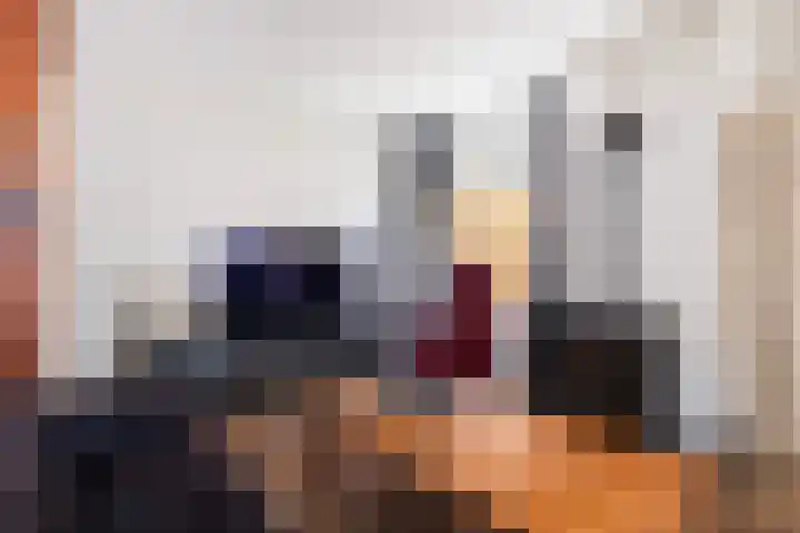 Jan Flintermanloane 4 Feanwâlden thumbnail 22