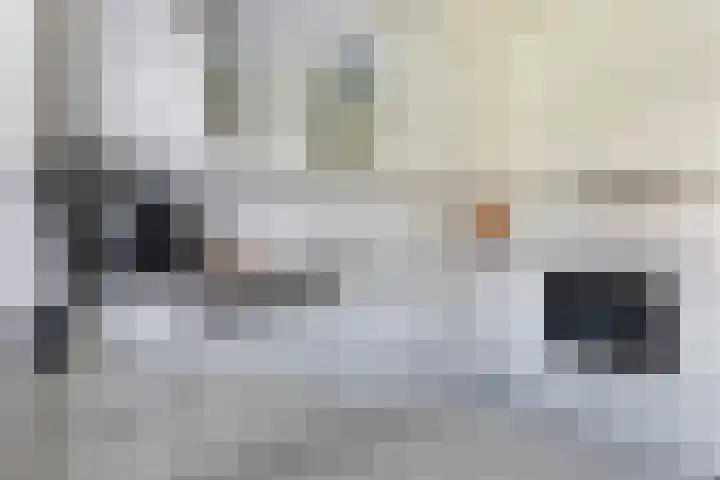 Jan Flintermanloane 4 Feanwâlden thumbnail 24