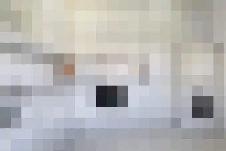 Jan Flintermanloane 4 Feanwâlden thumbnail 25