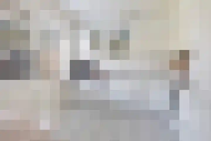 Jan Flintermanloane 4 Feanwâlden thumbnail 26