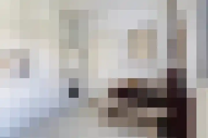 Jan Flintermanloane 4 Feanwâlden thumbnail 27