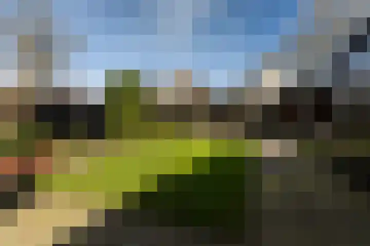 Jan Flintermanloane 4 Feanwâlden thumbnail 28