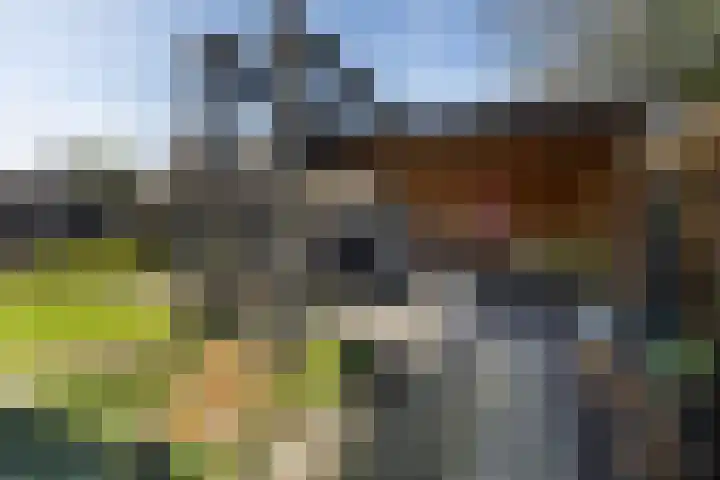 Jan Flintermanloane 4 Feanwâlden thumbnail 31