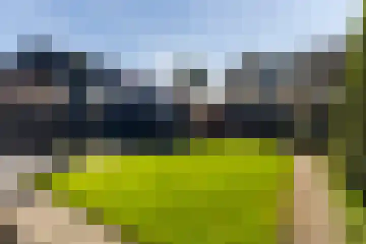 Jan Flintermanloane 4 Feanwâlden thumbnail 32