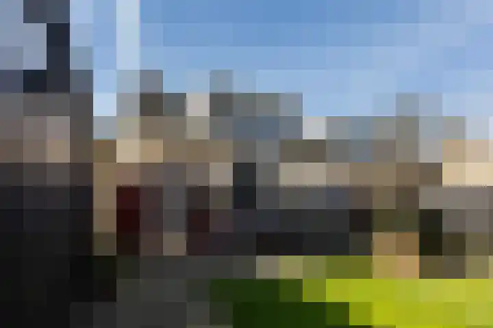 Jan Flintermanloane 4 Feanwâlden thumbnail 33
