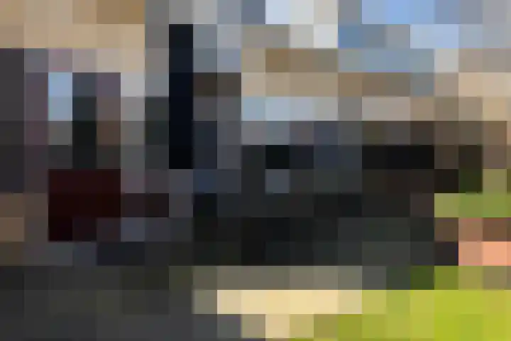 Jan Flintermanloane 4 Feanwâlden thumbnail 34