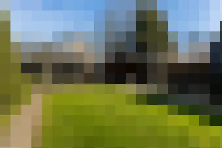 Jan Flintermanloane 4 Feanwâlden thumbnail 35