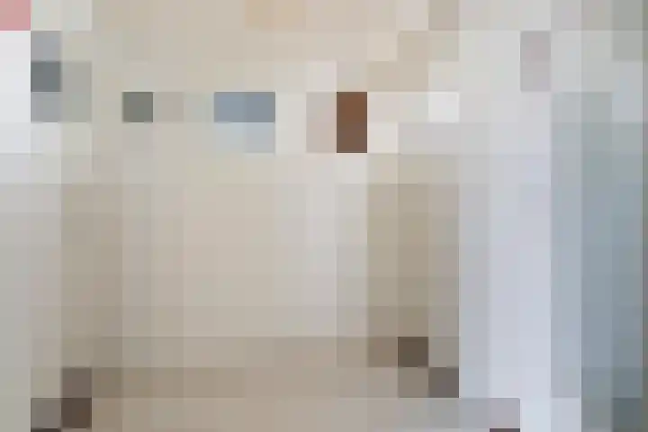Jan Flintermanloane 4 Feanwâlden thumbnail 38