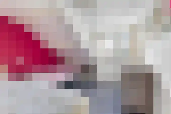 Jan Flintermanloane 4 Feanwâlden thumbnail 41