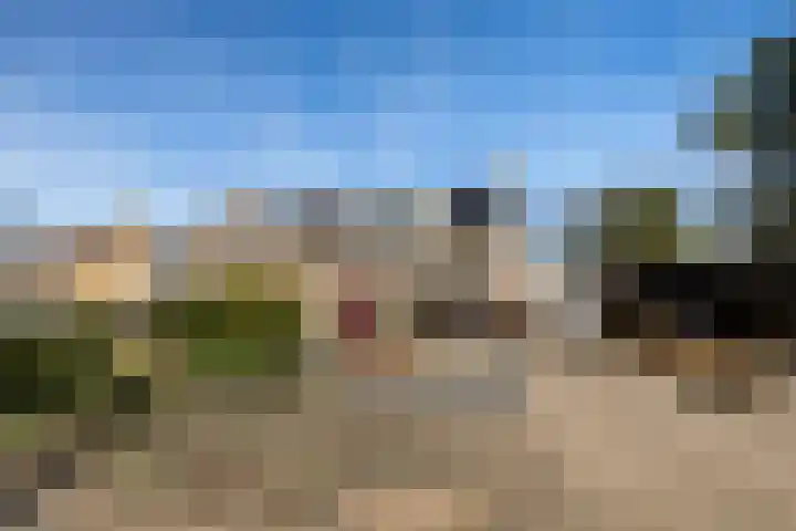 Jan Flintermanloane 4 Feanwâlden thumbnail 5