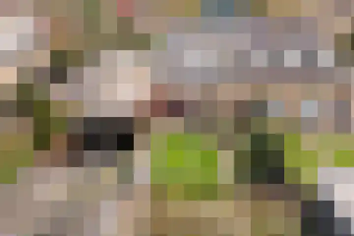 Jan Flintermanloane 4 Feanwâlden thumbnail 51