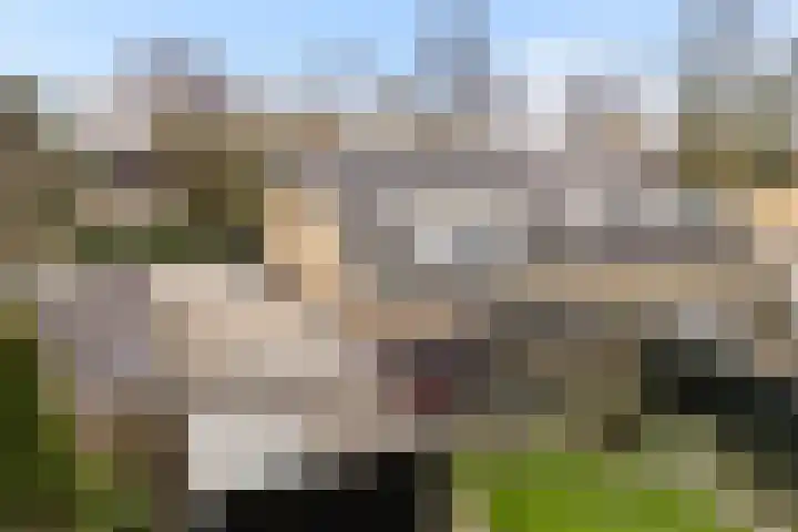 Jan Flintermanloane 4 Feanwâlden thumbnail 52