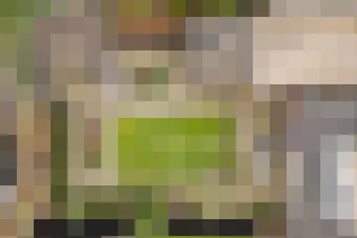 Jan Flintermanloane 4 Feanwâlden thumbnail 53